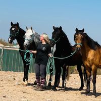 essaouira_river_ranch