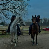 ali.auri.horseriding