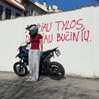 mototriperis519