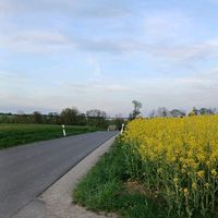 benbro361