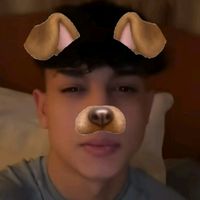 fp_romeo_haz