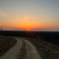 dźwięk oryginalny