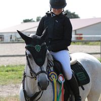 equi.mollypolly