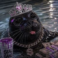 grelbosss