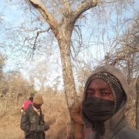 lamine.traor.karr