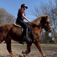 zelinas._hesteverden