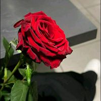 nazara__777