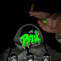 wls.lelinkz