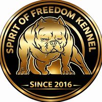 spirit.of.freedom.kennel
