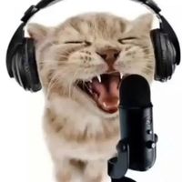 original sound