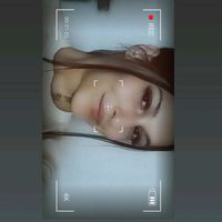 alexandrakazii