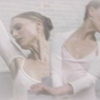 girlbloggerswan