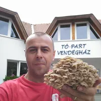 original sound - majky862