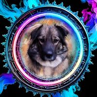 lovemydog71