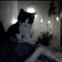 original sound - iwiiiiiiiiiwq