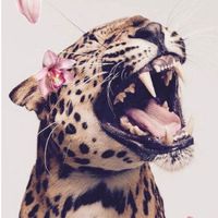 original sound - ...