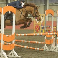 showjumping148s