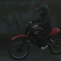 polly_270
