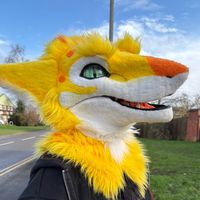 stinq.mutt_