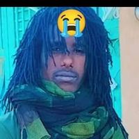 user86282660066161