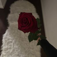 valentina_67a