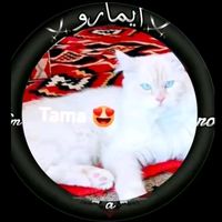 rm..tama2