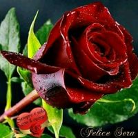sunet original