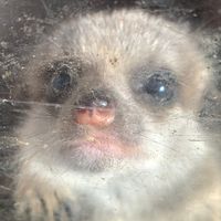 rubesrandomaccount