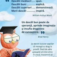 gina.enache4