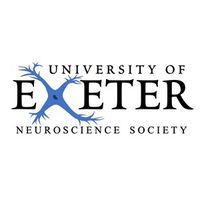 exe_neurosoc
