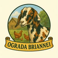 ograda.briannei