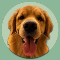 hotdog_goldenretriever