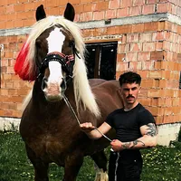 original sound - santa.nicolae