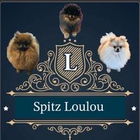 spitzloulou18