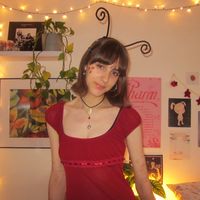 iladybird