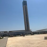 samya2203
