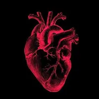 original sound - ..user..07