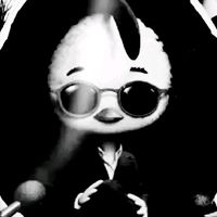 oribatida