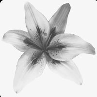 .spamx7
