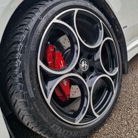 steox89alfa