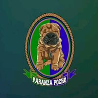 paranzapocho_official1
