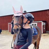 miranda.the.equestrian09