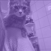 lovaaa071
