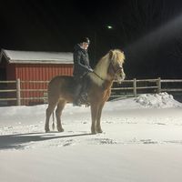 sandra.eq4