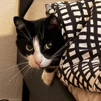 original sound - davsly