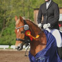 dressurpony.kamira