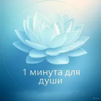 Здравствуй Новая Я