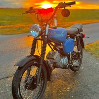 franz_s51