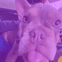 charlie120272