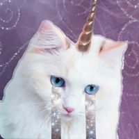 superswaagunicorn
